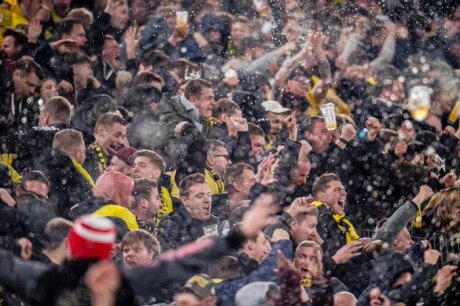 ©  BVB