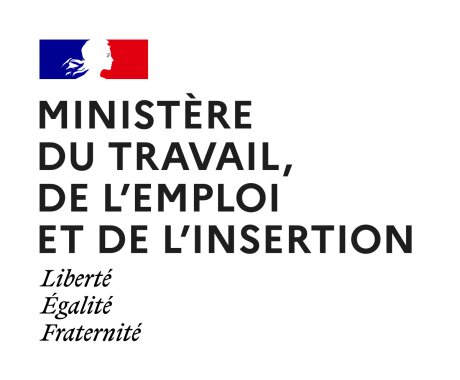 ©  Ministère du travail, de l'emploi et de l'insertion