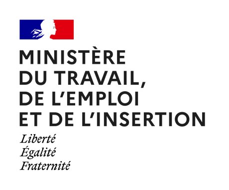 ©  Ministère du travail, de l'emploi et de l'insertion