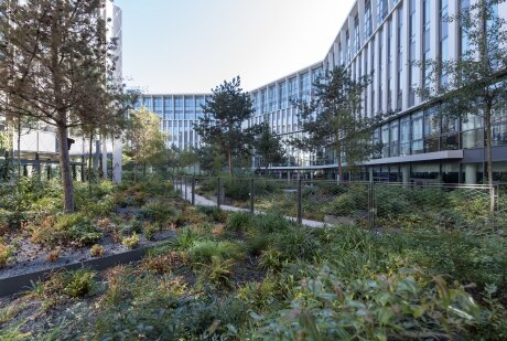 ©  Ville de Versailles/Pierrick Daul