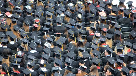 Les faux diplômes sont une réalité, affirme l’entreprise Verifdiploma, qui propose ses solutions - © Photo by Good Free Photos on Unsplash