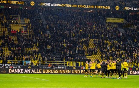 ©  BVB