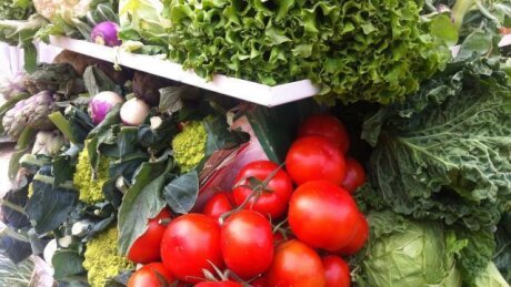 ©  Christel Trinquier