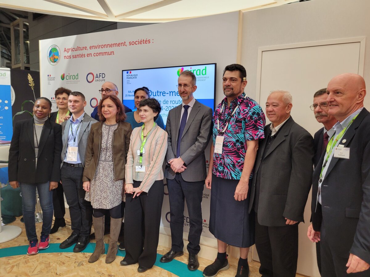 Cirad: une feuille de route outre-mer pour 2024-2028 ; accord-cadre ...