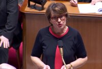 ©  Capture d'écran - Assemblée nationale
