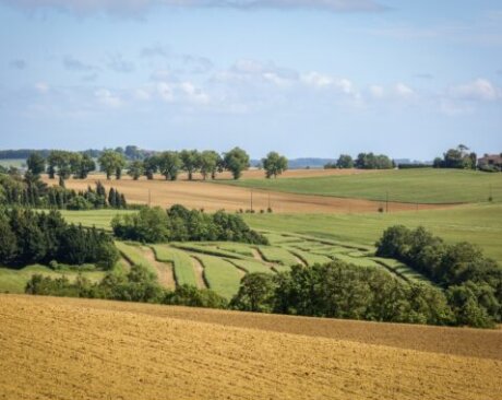 ©  Lapeyrere Sebastien - Region Occitanie