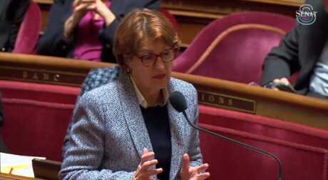 ©  Capture d'écran - Sénat