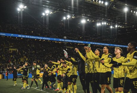 ©  BVB