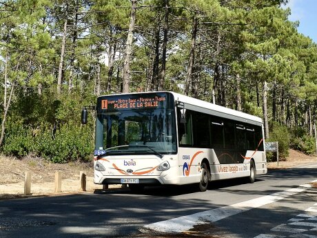 ©  CC BY-SA 4.0 - Snoopy 31, Wikimedia commons