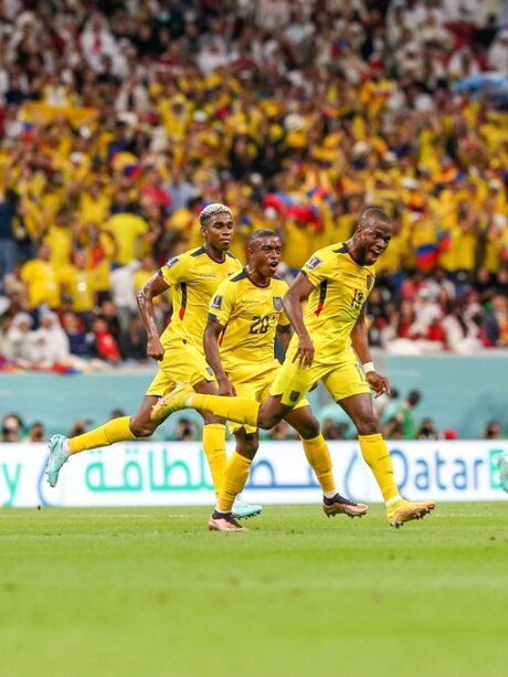 ©  Equipe d'Equateur de football