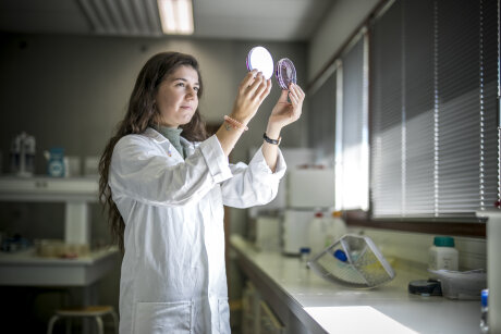 ©  CPU - Université de Haute-Alsace