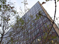 ©  Inserm, D. Collot