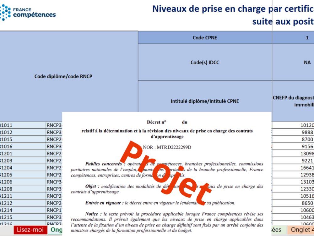 News Tank RH Apprentissage "Une procédure ad hoc" de révision des NPEC (coûtscontrats) par