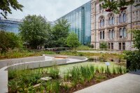©  Conseil d'administration du Musée d'Histoire naturelle de Londres