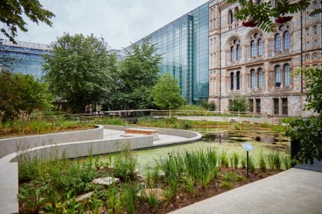 ©  Conseil d'administration du Musée d'Histoire naturelle de Londres