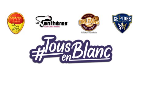 ©  Orléans Loiret Foot