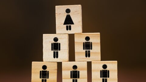 Les femmes représentent 43,7 % des équipes dirigeantes universitaires. - © Canva