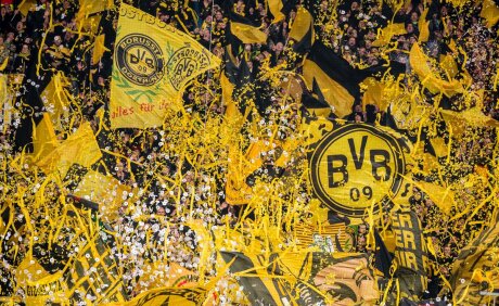 ©  BVB