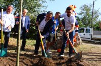 ©  Montpellier HSC