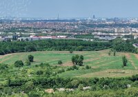 ©  Ville de Ris-Orangis