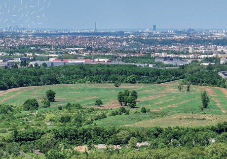 ©  Ville de Ris-Orangis