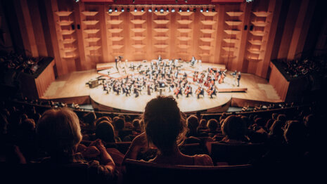 L’Orchestra National de Lyon en concert, en 2017. - © Julien Mignot