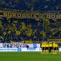 ©  BvB