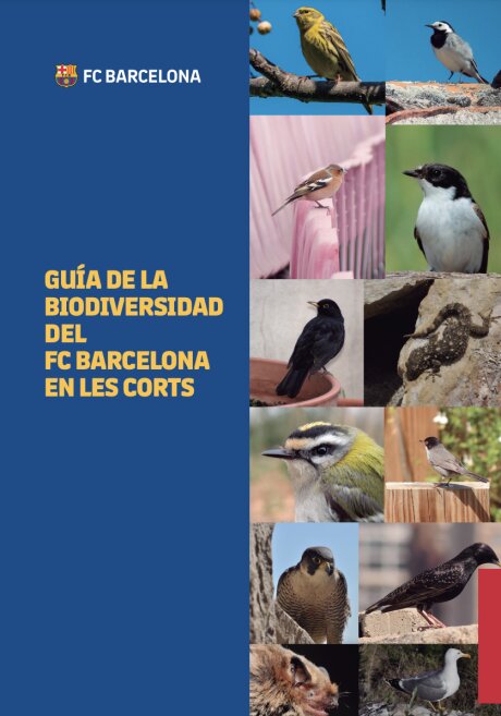 ©  FC Barcelona