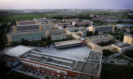 ©  Universidad Pablo de Olavide