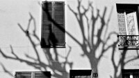 ©  Eléonore Guiraud