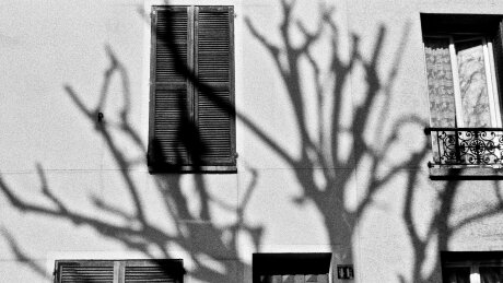 ©  Eléonore Guiraud