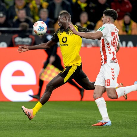 ©  BVB