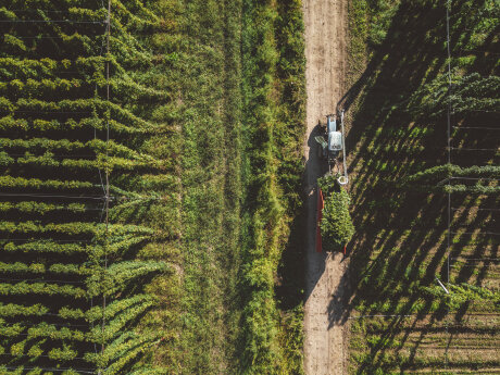 ©  Getty Images/iStockphoto