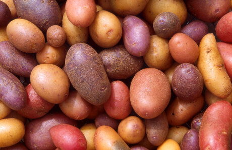 ©  Agricultural Research Service