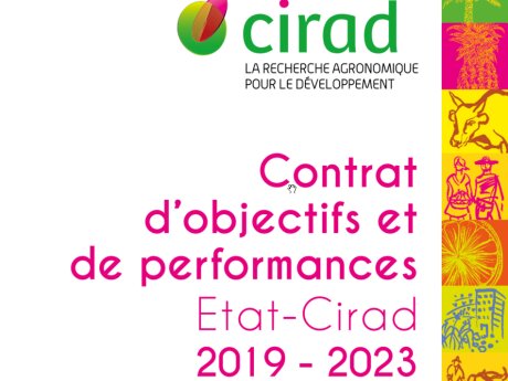 ©  Cirad