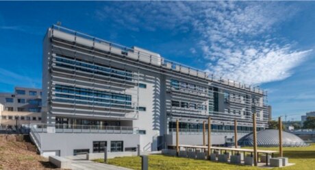 ©  Nicolas Grosmond