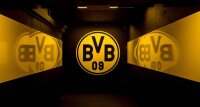 ©  BVB