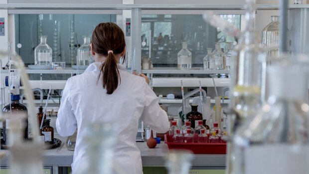 Le CNRS recrute un ou une chargé(e) d’appui aux contrats de recherche