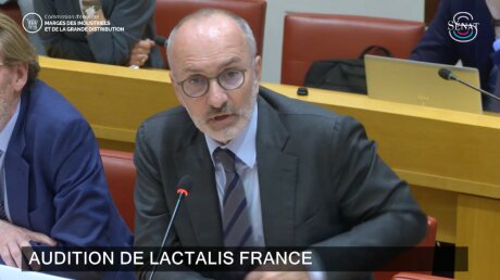 ©  Sénat / capture d'écran