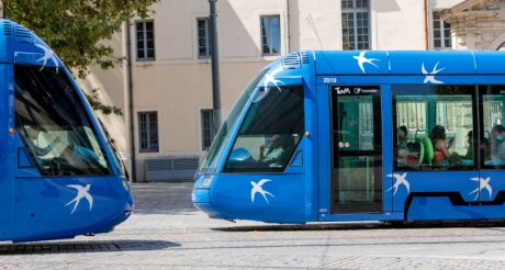 ©  TAM Montpellier