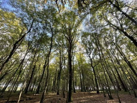 ©  Groupama Immobilier