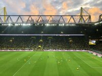 ©  BVB