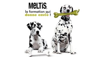 Comment motiver ses collaborateurs sans les augmenter ?