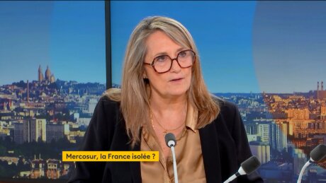 ©  Capture d'écran de FranceInfo