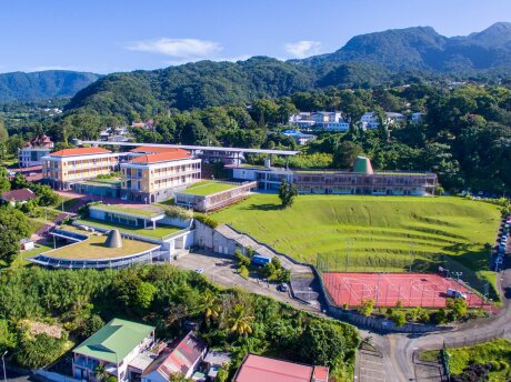 ©  Université des Antilles