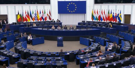 ©  Capture d'écran - Parlement européen