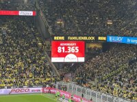 ©  BVB
