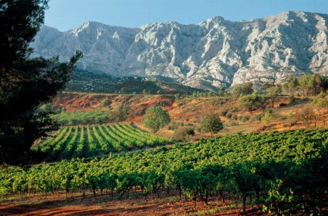 ©  Vins de Provence