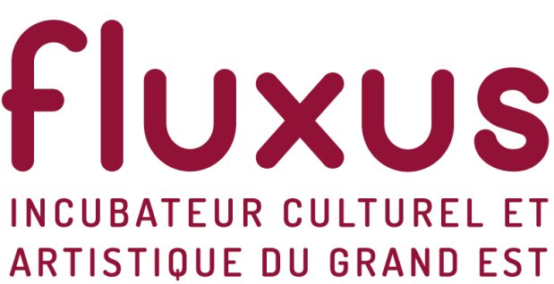 Appel à projets : l’incubateur Fluxus soutient des projets culturels dans le Grand Est