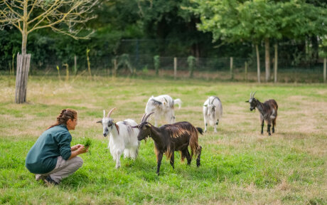 ©  Clement Dorval / Ville de Paris